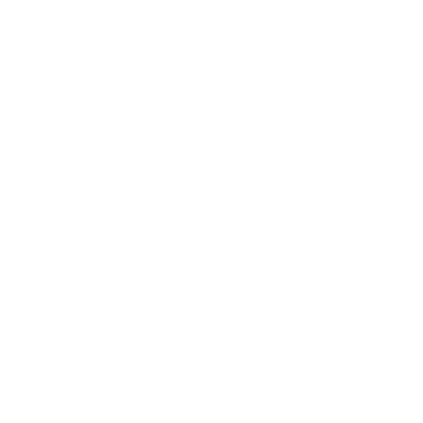 deco plus parquets